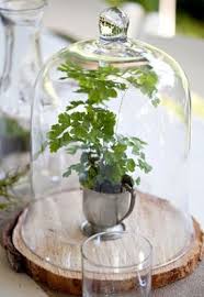 Cloche Bell Jar Wedding Table Decor Campanas De Cristal Decoraciones De Jardin Jardineria