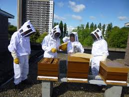 Fr enfin, la distance réglementaire réduit la connexion entre le statut du pays d'origine et les performances d'investissement. L Apiculture Bruxelles Environnement