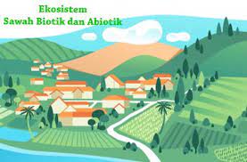 Contoh Ekosistem Sawah Biotik Dan Abiotik Ekosistem Geografi Valencia