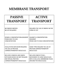 Active _ Passive Transport Comparison Chart Cell Biology