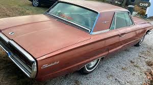 Image result for Sungold Amber 1966 AMC