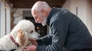 Illinois Law For Service Dogs Support Animals Impacts Condos Chicago Tribune