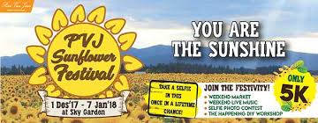 Tea garden resort menawarkan penginapan alam kehijauan khas kota bandung. Bunga Matahari Mekar Di Paris Van Java Resort Lifestyle Place Halaman All Kompasiana Com