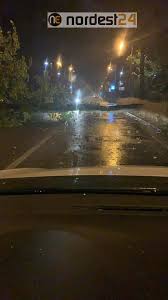 Alluvione del modenese dal 17 al 19 gennaio 2014. Lh8vi7w9gkgtim