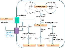 Lego ninja un combat de lego ninja, voila ce qui t'attend au pays du soleil levant , il faut maitriser les comb…96%. European Contribution To The Study Of Ros A Summary Of The Findings And Prospects For The Future From The Cost Action Bm1203 Eu Ros Abstract Europe Pmc
