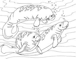 Includes images of baby animals, flowers, rain showers, and more. Pin On Tattoo Idea Florida Swamp