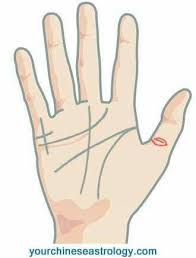 Line Of Phoenix Eyes If The Lines Above The First Knuckle Of The Thumb Form A Circle And Look Like A Phoenix Eye You Palm Reading Palmistry Palmistry Reading