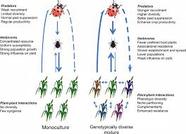 They are inflexible with appt times and it's takes a good 15 minutes to get someone on the phone. Genotypically Diverse Cultivar Mixtures For Insect Pest Management And Increased Crop Yields Tooker 2012 Journal Of Applied Ecology Wiley Online Library