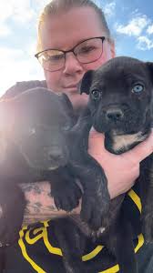 Christmas backgrounds for baby photos