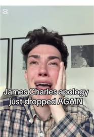 we forgive you, James 🤩 #lol #jamescharles #apology #byesister #meme  #funny #fyp #trending #viral #foryoupage #blowthisup #fypシ Credits/video  @Sunny ♡