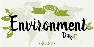 Over the years, it has grown to be the largest global platform for environmental public outreach and is celebrated by millions of people across the world. Facts About World Environment Day Washington Energy Services