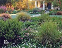 Image Result For Colorado No Grass Front Yards Xeriscape Landscaping Backyard Landscaping Front Yard Landscaping