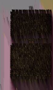 Image result for Hydrostachys bismarckii