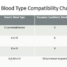 Blood Type Compatibility Chart Download Scientific Diagram