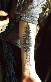 See more ideas about redwood tattoo, tree tattoo, tattoos. 15 Tree Tattoo Designs You Won T Miss Pretty Designs