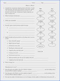 Mitosis_and_meiosis_worksheet_answer_key.pdf is hosted at www.ampexgb.co.uk since 0, the book mitosis and meiosis worksheet answer key contains 0 pages, you can download it for free by clicking in download button below, you can also preview it before download. Mendel And Meiosis Worksheet Answers Amp 440 X 320 440 X 320 Image Below Meiosis Worksheet Answer Key Meiosis Self Esteem Worksheets Mitosis
