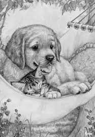 Coloring For Adults Kleuren Voor Volwassenen Dessin Chat Facile Dessin De Chien Dessin Chien