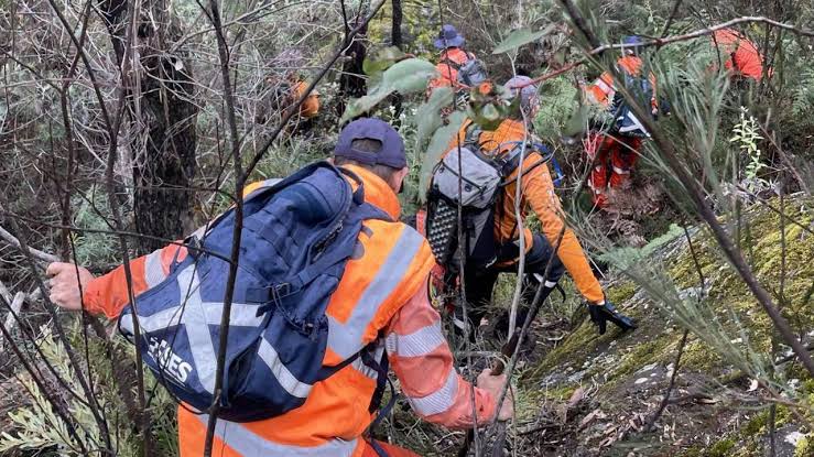 Lily Hooper tribute: family calls for 'Lily's Law' after bush tragedy |  news.com.au — Australia's leading news site for latest headlines