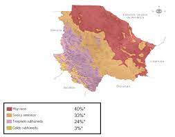 E L C L I M A D E C H I H U A H U A Zonealarm Results