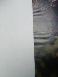 Image result for Inlet Blue 1960 Comet