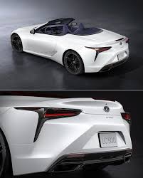 Image result for Polar Surge Satin 2024 LC