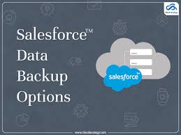 The scheme determines how and when each piece of. Salesforce Data Backup Options At A Glance Cloud Analogy