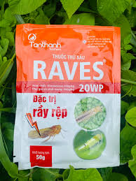 Raves 20WP