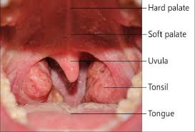 A white or red patch inside your mouth or on your lips may. Did You Know That Oral Sex Causes Throat Cancer Read Details Here Topyaps