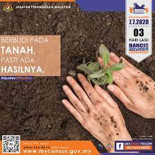 Di sini kami ingin berkongsi beberapa perkara asas menanam sayuran daripada biji benih. Mycensus2020 Seronok Sebenarnya Bercucuk Tanam Ni Facebook