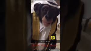 سناب اسامه الدغيري صوره لوالده بعد الحج عريس زيتونه الجديد ههههههههههههههه youtube