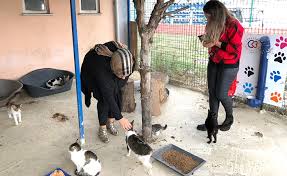 Hayvan Barinagini Ziyaret Ettiler