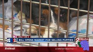 Many pet store employees and even owners will tell customers they only get puppies from a licensed usda breeder or a respected local breeder. Bill Would Open Market For Selling Puppies