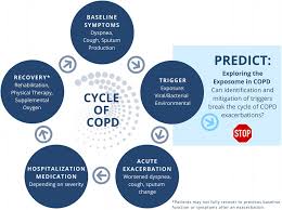 Image result for COPD Exacerbation Prevention