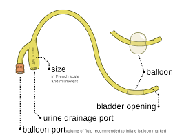 Foley Catheter Wikipedia