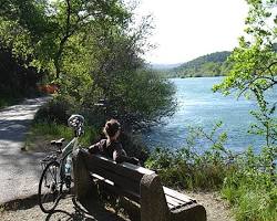 Image of Sacramento River Trail