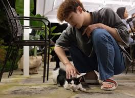 In the released preview video, junho showed moments of having his own home concert. This Is What 2pm Member Junho Has Been Doing Since Chief Kim Concluded