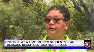 Tree planting initiative in Treasure Beach by Munro College environmental  club to help bring back trees lost from Beryl