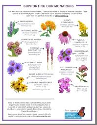 Pin By Brittani Jaeger On My Wisconsin Wildflowers Milkweed Wild Flowers Monarch