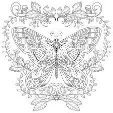 Pin On Coloring Butterfly