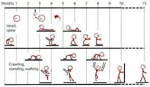 Fundamentals Of Neurology Childhood Development Early Childhood Development Childhood Development Stages