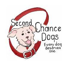 He would do best in a home. Second Chance Dogs Home Facebook