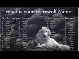 The Story Of Moon Moon The Retarded Wolf Meme Youtube