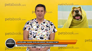 Kedi Ve Kopek Sahiplendirmenin En Keyifli Yolu 12 Mayis 2017