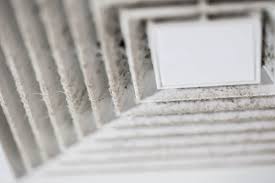 Mold is a feared issue no property owner wishes to deal with. Types Of Mold In Air Ducts