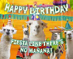 Funny Birthday Ecards For All Occasions American Greetings Happy Birthday Funny Ecards Birthday Ecards Funny Birthday Humor