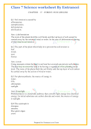 forests our lifeline worksheet with detail solutions