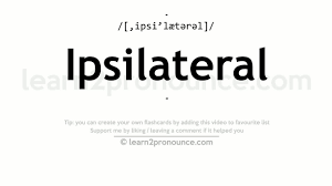 We did not find results for: Ipsilateral Pronunciation And Definition Youtube
