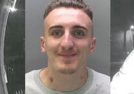 Locked up this year so far: Drugged-up killers and machete-wielding gang  members among those jailed