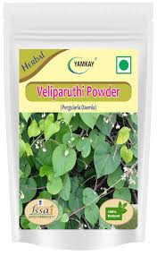 Image result for Pergularia daemia