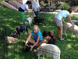 Quickly find aquariums, zoo & petting farms near me. Petting Zoos Party Pronto Rentals